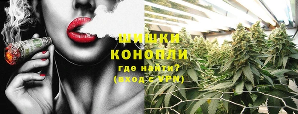 молекула духа Няндома