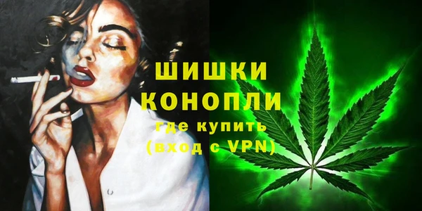 молекула духа Няндома