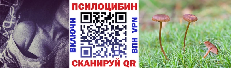 даркнет какой сайт наркошоп Нефтекамск Псилоцибиновые грибы Psilocybe