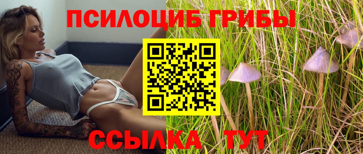 Галлюциногенные грибы GOLDEN TEACHER  Нефтекамск 