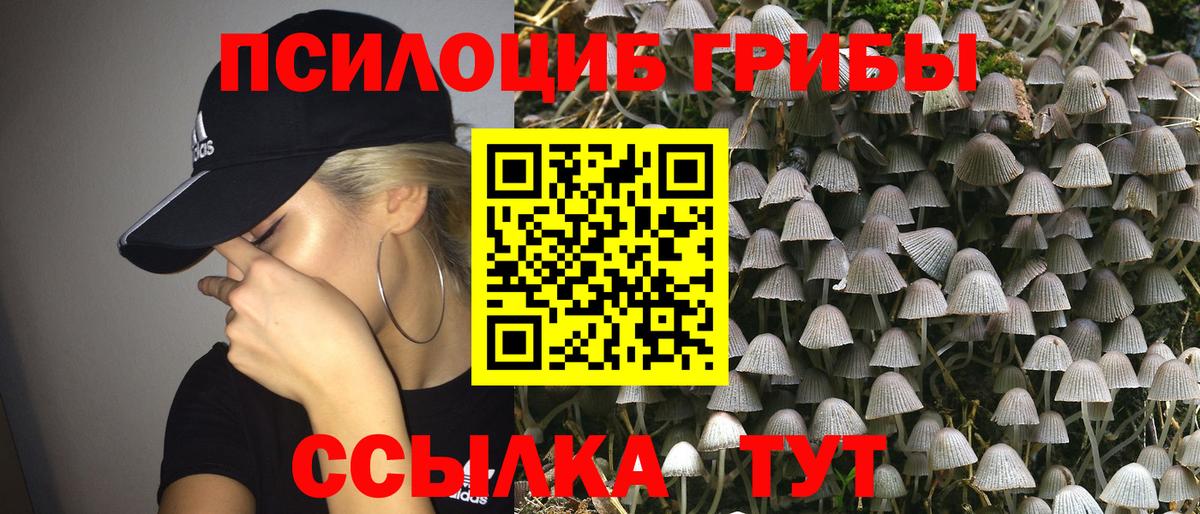 как найти   Вход с VPN  Нефтекамск  Псилоцибиновые грибы MAGIC MUSHROOMS 