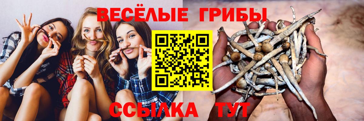 Псилоцибиновые грибы прущие грибы Нефтекамск